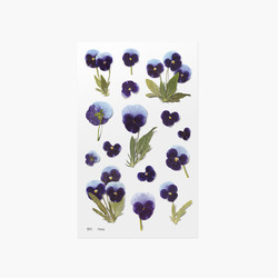 Appree Pansy pressed flower sticker
