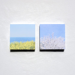 Meri Film Spring flowers memo writing notepad