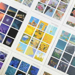 Vibe Removable Square Sticker Ver2