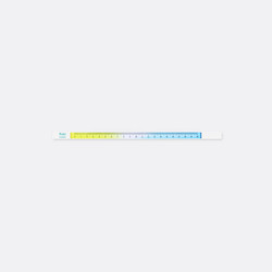 APPREE Daylight Gradation Blue-Yellow 20cm Ruler