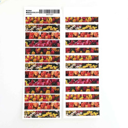 Tulip Mastking Tape Sticker Seal
