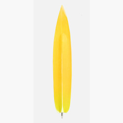 Bamboo yellow leaf bookmark black ballpoint pen