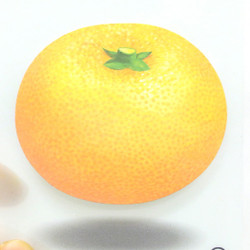Tangerine sticky memo notes