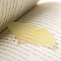 Ginkgo leaf transparent sticky memo notes Small 
