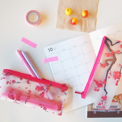 N.IVY Hongmaehwa clear zip lock multi pouch