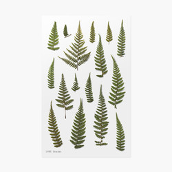 Bracken press flower deco sticker