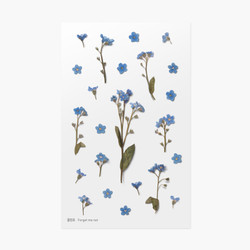 Forget me not press flower deco sticker