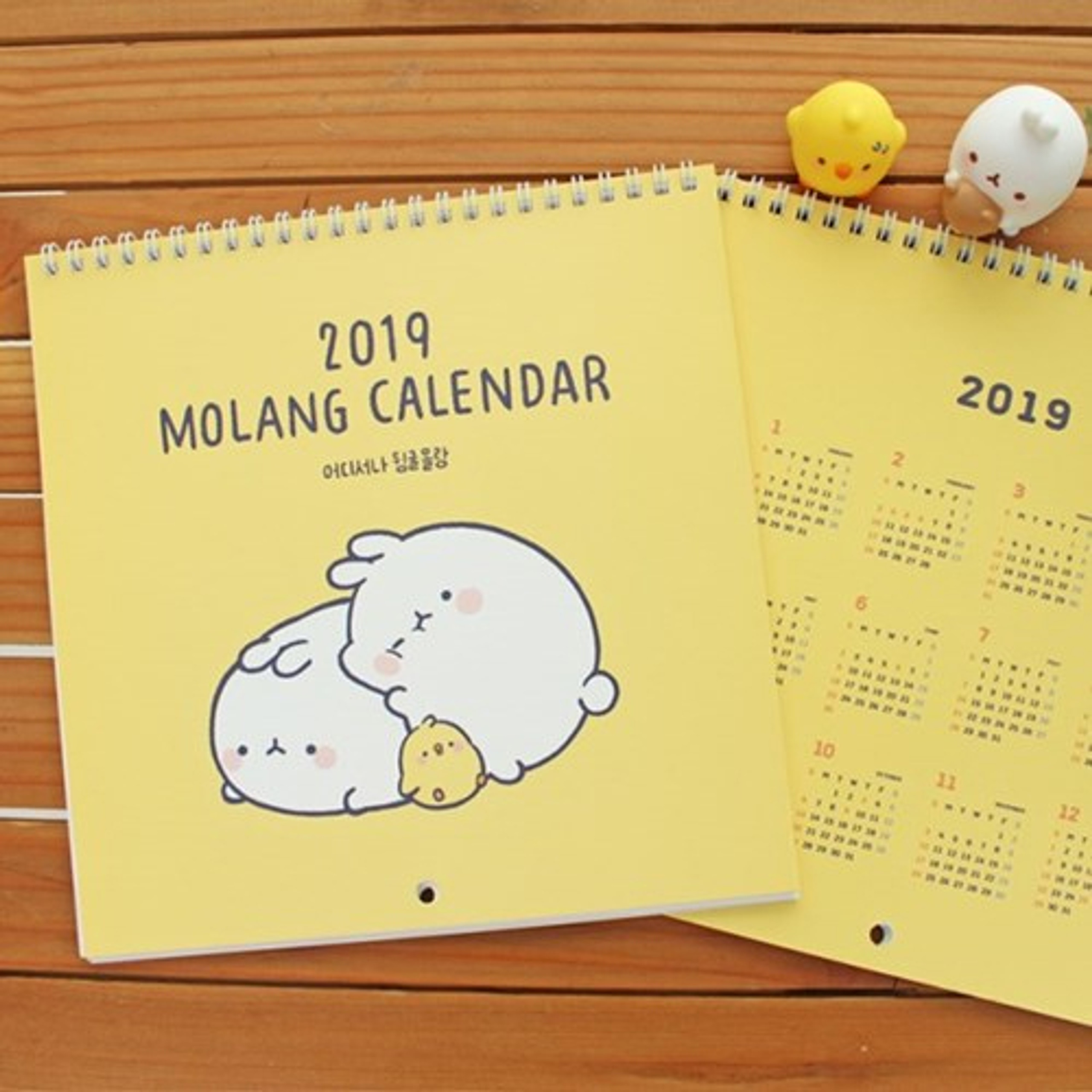 Bookcodi 2019 Molang monthly hanging wall calendar