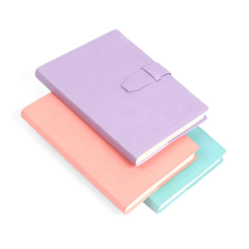 2024 Travelers Dated Daily Diary Journal