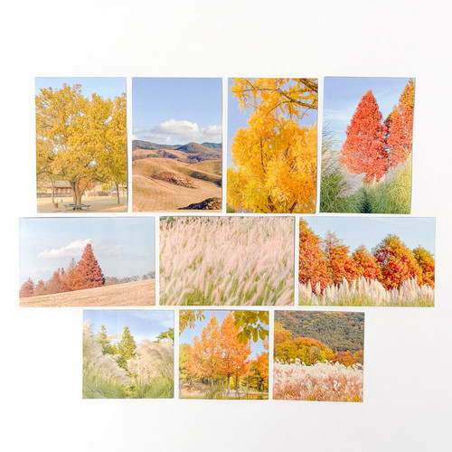 Mingkit Autumn Photo Sticker Pack