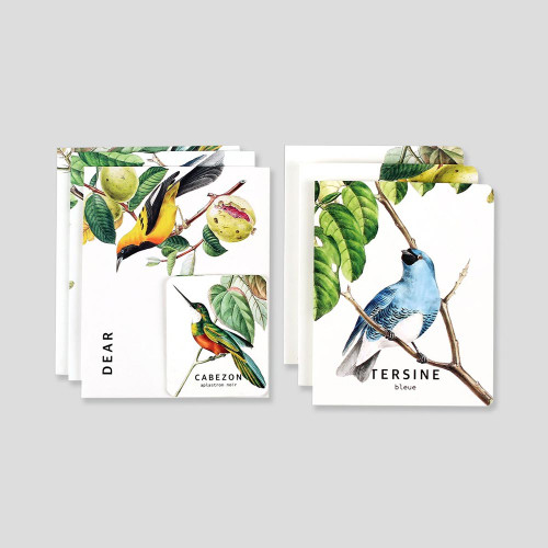 Nacoo Bird Illustration Card Set