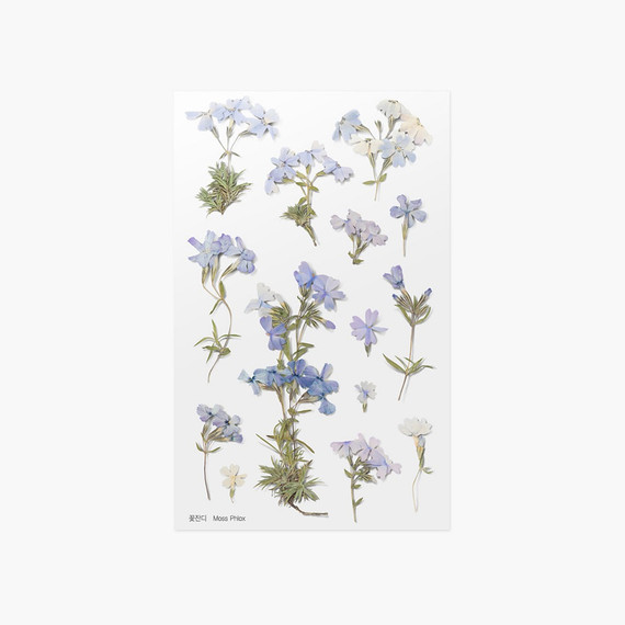 Appree Moss phlox pressed flower sticker