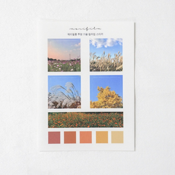 Meri Film Autumn color chips translucent sticker set