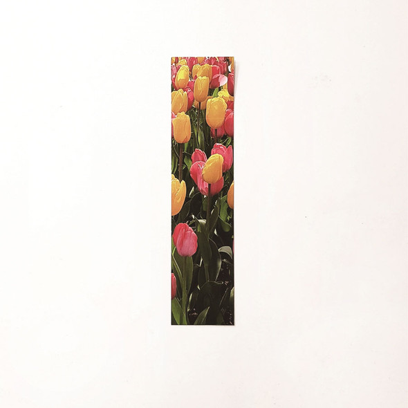 Ddori House Vibrant Tulip Flower Bookmark