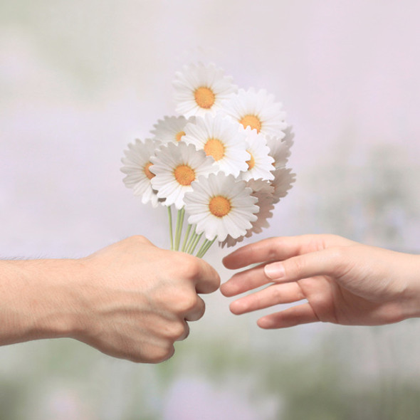 Daisy large sticky memo notes