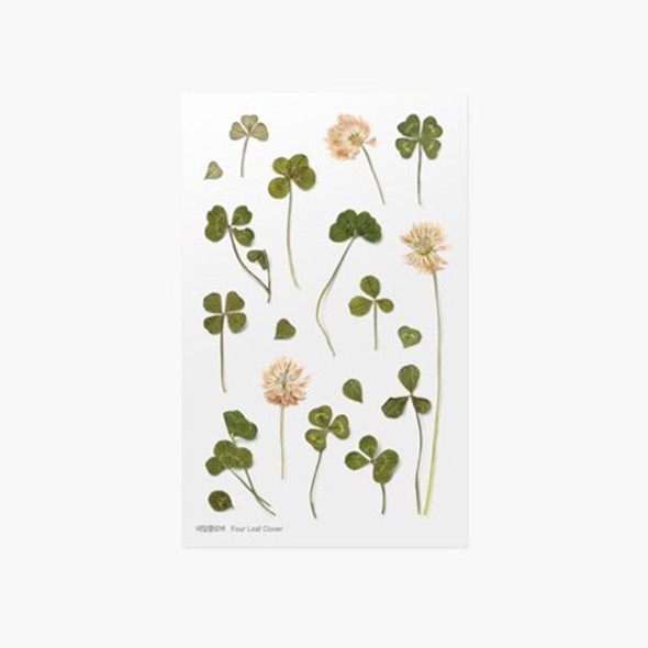 Appree Four leaf clover press flower deco sticker