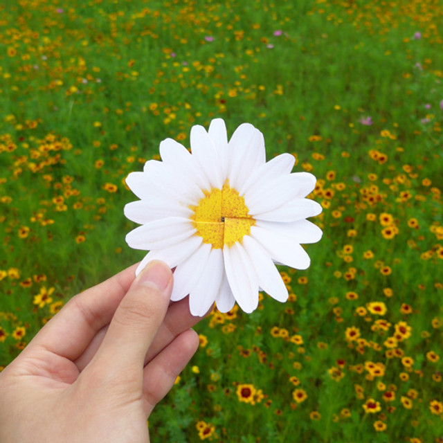 ABJECTION Daisy cards and envelope set
ABJECTION Daisy cards and envelope set