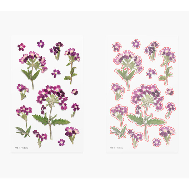 Verbena press flower deco sticker