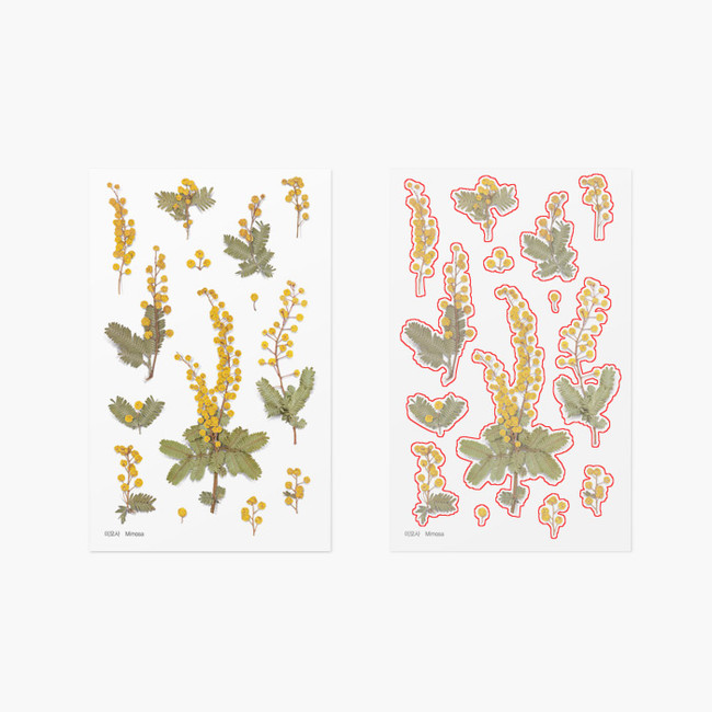 Appree Mimosa pressed flower sticker