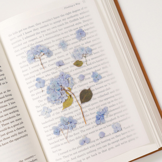 Usage example - Appree Bigleaf hydrangea pressed flower sticker