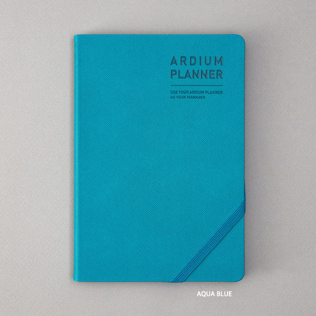 Aqua blue - Ardium 2021 Simple large dated monthly planner scheduler