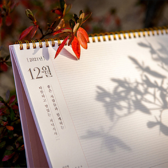 Ardium 2021 Daily life monthly desk calendar