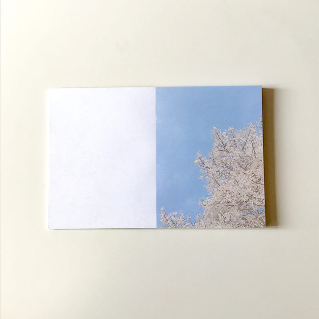 Easy tear off - Meri Film Spring cherry blossom memo writing notepad