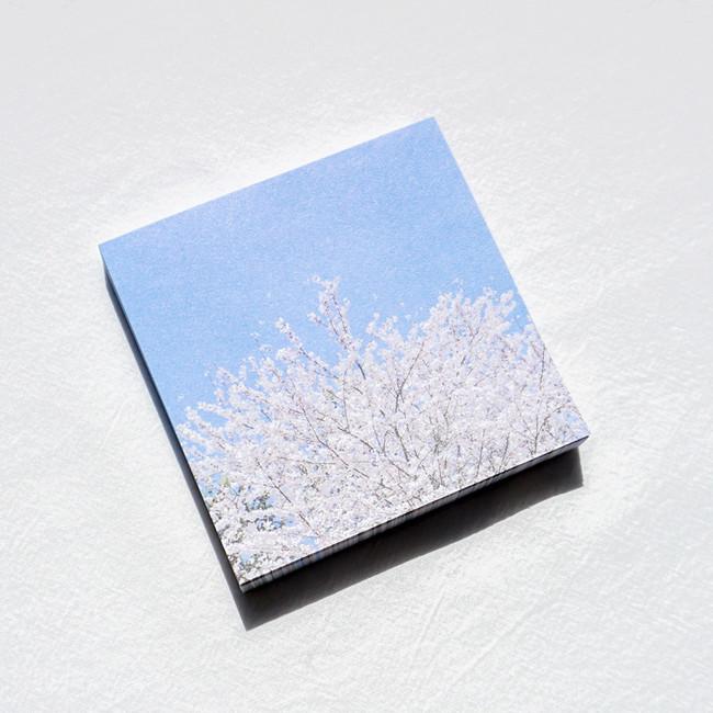 Cherry blossom - Meri Film Spring flowers memo writing notepad