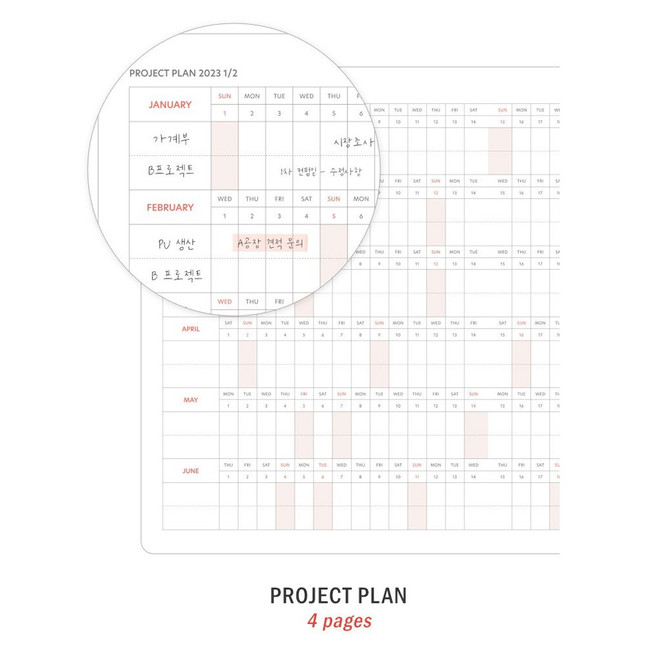 Project plan - 2023 Brilliant Dated Daily Diary Planner