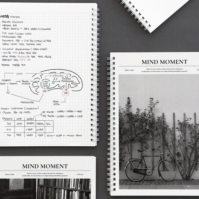 Indigo Mind Moment B5 Wirebound Grid Notebook