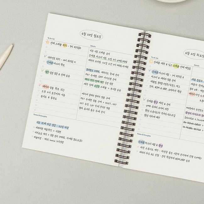 Daily plan - Antenna Shop 6 Month A5 Dateless Daily Planner