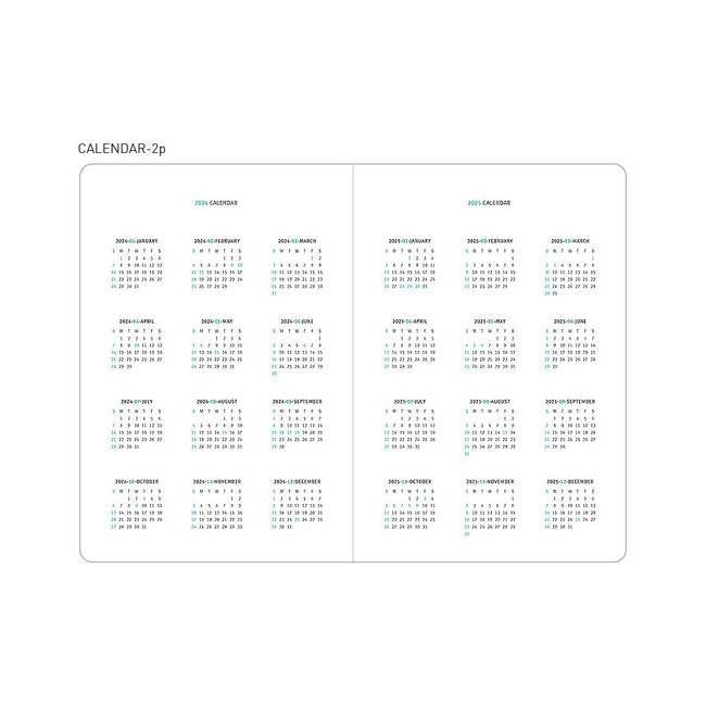 Calendar - 2024 Travelers Dated Daily Diary Journal