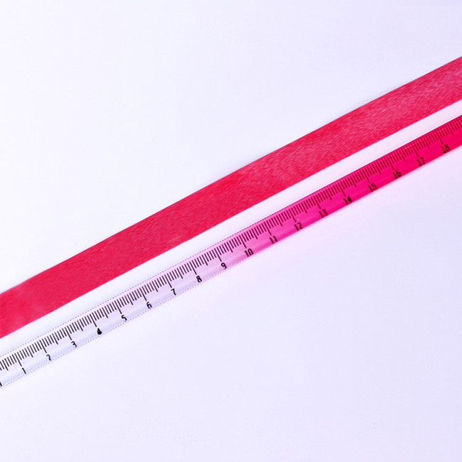 Gradation Pink - APPREE Twilight Gradation Pink 20cm Ruler