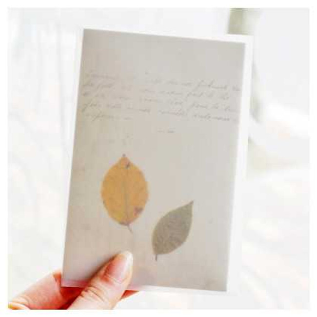 Seeso vintage leaf letter paper and envelope set