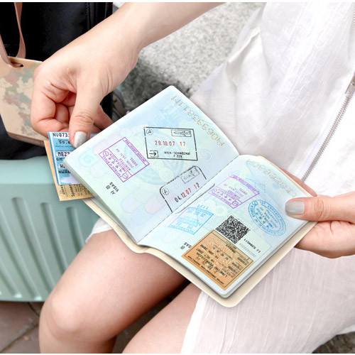 Indigo World map passport cover case