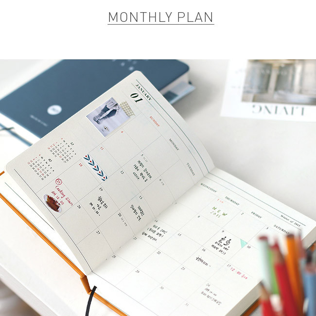 Monthly plan - 2015 Iconic Make a day the diary dated scheduler