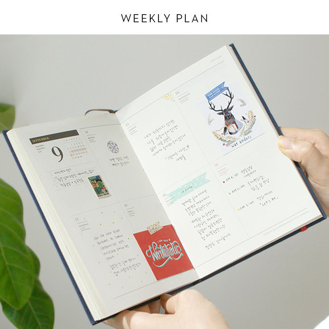 Weekly plan