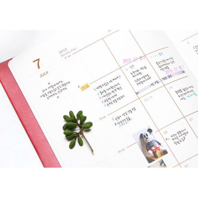 Monthly plan - 2015 Record weekly dated large planner