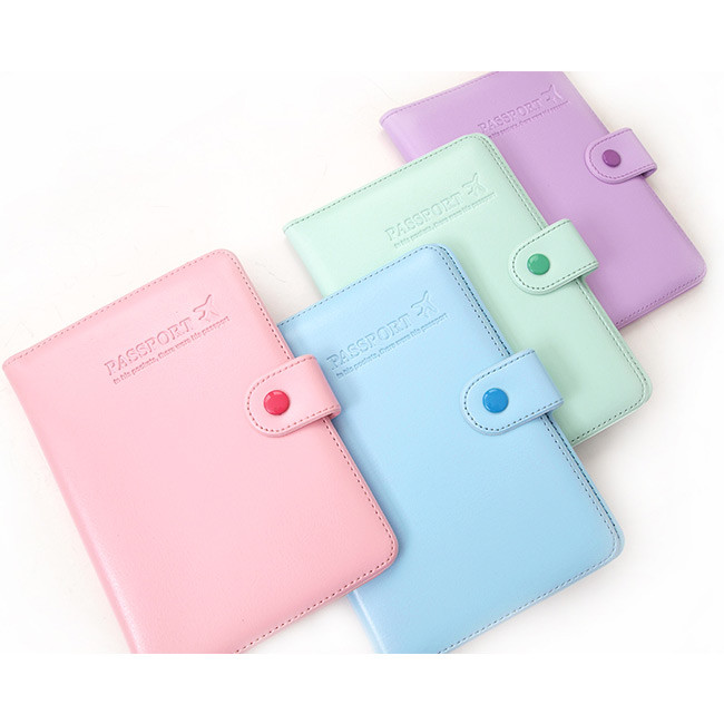 365 Traveler pastel passport case