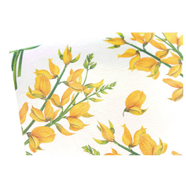 Greenweed - Always for you floral decorative card