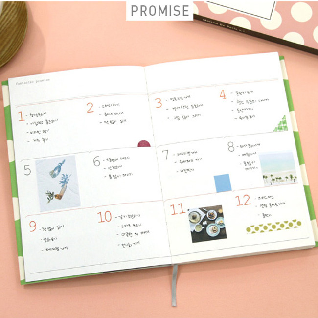 Promise - 2016 Maison de paris undated diary