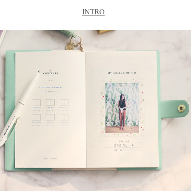 Intro - 2016 Tassel medium undated diary