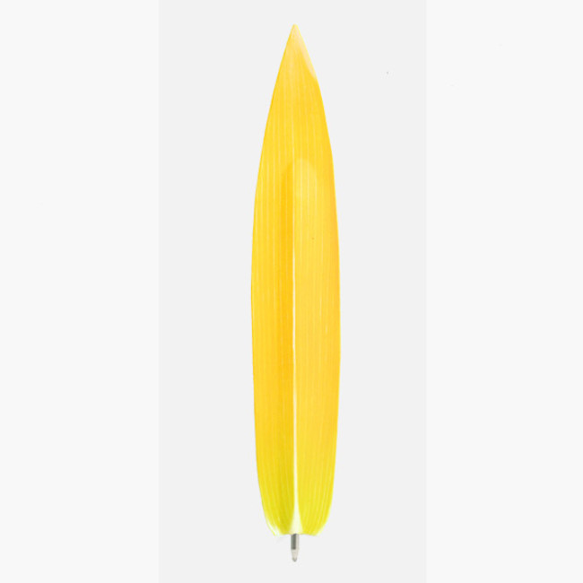 Bamboo yellow leaf bookmark black ballpoint pen