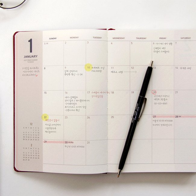 Monthly plan - 2017 Indigo Prism monthly dated planner scheduler 