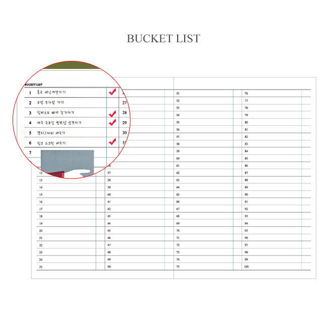 Bucket list - 2017 The classic large dated monthly planner