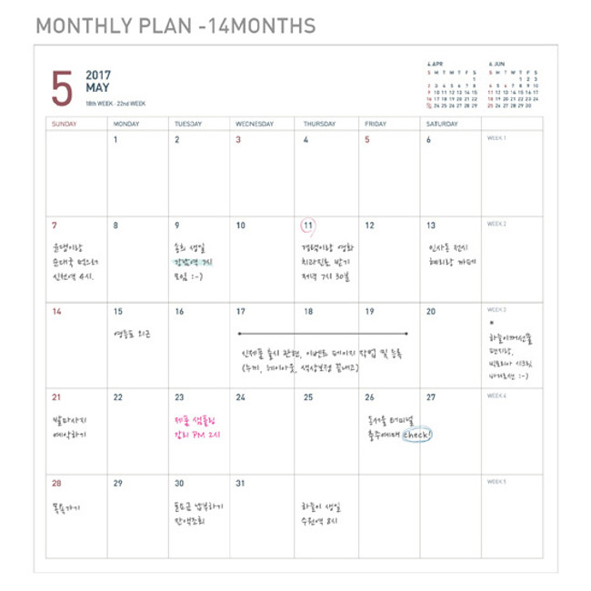 Monthly plan - 2017 Appointment small dated monthly planner