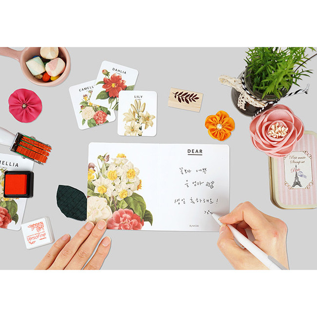 Flower illustration card set