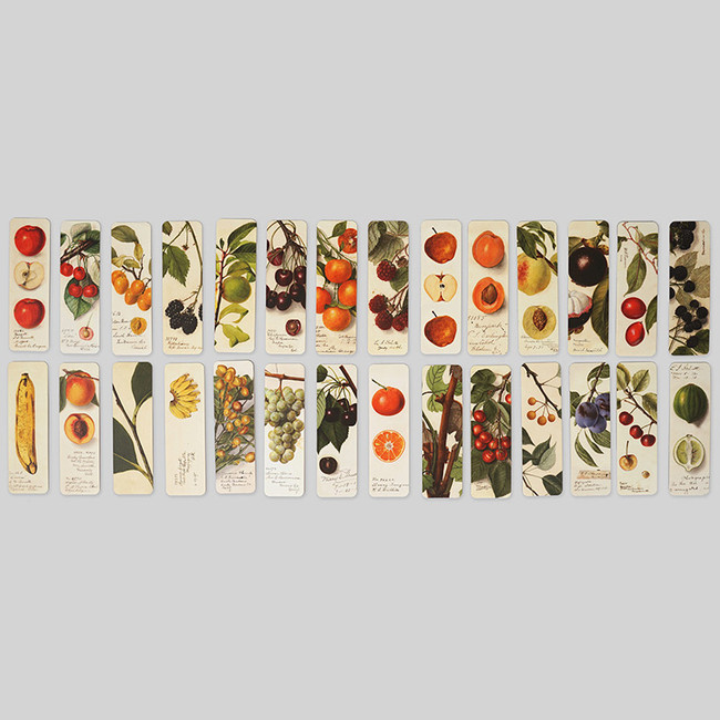 Composition of Fruits bookmark set