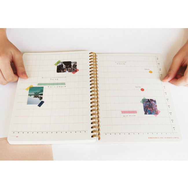 Yearly plan - Brilliant spiral undated weekly diary scheduler