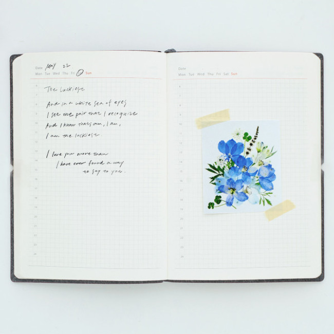 Daily plan - Agenda 178 days undated daily diary planner